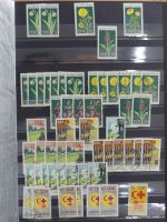 DDR laut Angabe des Besitzers 1590 € KW im Einsteck-Album #MA248