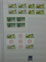 DDR Paare, Dienstmarken und Bogenteile im Einsteck Album #MA263