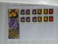 Berlin Dauerserien besammelt (Rollenmarken u.a.) im Einsteckalbum #MA267