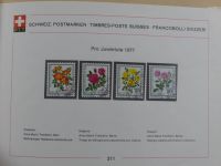 Schweiz ordentlich aufgezogene PTT-Karten in 6 Alben #MA289