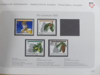 Schweiz ordentlich aufgezogene PTT-Karten in 6 Alben #MA289