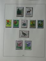 Cept teilweise mit Vorläufern besammelt im Lindner Vordruck #MA300