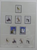 Madeira 1980-1995 ** besammelt im Lindner Vordruck #MA309