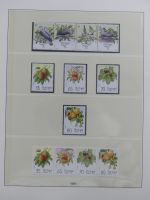 Madeira 1980-1995 ** besammelt im Lindner Vordruck #MA309