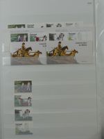 Madeira ** besammelt mit jeder Menge Material im Einsteck-Album #MA311