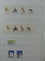 Madeira ** besammelt mit jeder Menge Material im Einsteck-Album #MA311