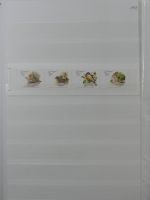 Madeira ** besammelt mit jeder Menge Material im Einsteck-Album #MA311