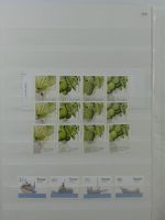 Madeira ** besammelt mit jeder Menge Material im Einsteck-Album #MA311