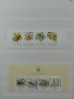 Madeira ** besammelt mit jeder Menge Material im Einsteck-Album #MA311