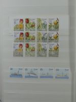 Madeira ** besammelt mit jeder Menge Material im Einsteck-Album #MA311