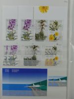 Madeira ** besammelt mit jeder Menge Material im Einsteck-Album #MA311