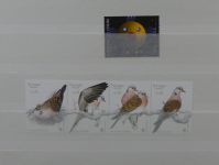 Madeira ** besammelt mit jeder Menge Material im Einsteck-Album #MA311