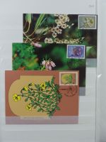 Madeira ** besammelt mit jeder Menge Material im Einsteck-Album #MA311