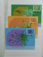 Madeira ** besammelt mit jeder Menge Material im Einsteck-Album #MA311