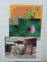 Madeira ** besammelt mit jeder Menge Material im Einsteck-Album #MA311