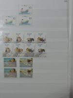 Azoren ** besammelt mit jeder Menge Material im Einsteck-Album #MA312