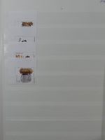 Azoren ** besammelt mit jeder Menge Material im Einsteck-Album #MA312