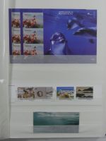 Azoren ** besammelt mit jeder Menge Material im Einsteck-Album #MA312