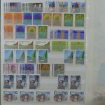 Madeira und Azoren ** besammeltes Lager im Einsteck-Album #MA318