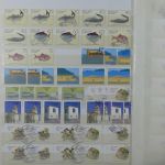 Madeira und Azoren ** besammeltes Lager im Einsteck-Album #MA318