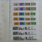 Madeira und Azoren ** besammeltes Lager im Einsteck-Album #MA318