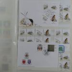 Madeira und Azoren ** besammeltes Lager im Einsteck-Album #MA318