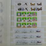 Madeira und Azoren ** besammeltes Lager im Einsteck-Album #MA318