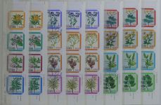 Madeira und Azoren ** besammeltes Lager im Einsteck-Album #MA318