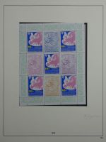 Cept ** besammelt in 5 Safe-Bindern #MA330