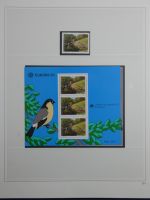 Cept ** besammelt in 5 Safe-Bindern #MA330