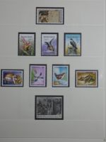 Cept ** besammelt in 5 Safe-Bindern #MA330