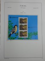 Cept umfangreicher Bestand gestempelt in 4 Leuchtturm-Bindern #MA331