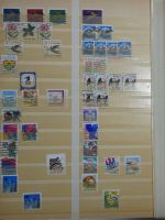 USA ab Klassik besammelt in 4 Einsteckalben #MA332