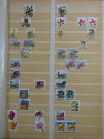 USA ab Klassik besammelt in 4 Einsteckalben #MA332