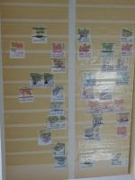 USA ab Klassik besammelt in 4 Einsteckalben #MA332