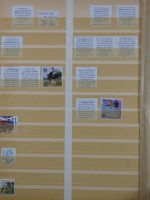 USA ab Klassik besammelt in 4 Einsteckalben #MA332