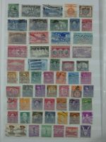 USA ab Klassik besammelt in 4 Einsteckalben #MA332