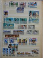 USA ab Klassik besammelt in 4 Einsteckalben #MA332