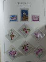 DDR ab Anfängen gestempelt teilbesammelt im Leuchtturm Vordruck #MA373