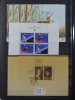 Portugal Blöcke Lager im Einsteck-Album #MA374