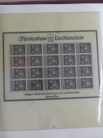 Liechtenstein Kleinbogenmappe im Lindner T falzlos Vordruck #MA403