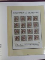 Liechtenstein Kleinbogenmappe im Lindner T falzlos Vordruck #MA403