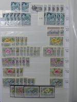 Österreich riesiges Dublettenlager in 6 Einsteckalben #MA392