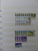 Österreich riesiges Dublettenlager in 6 Einsteckalben #MA392