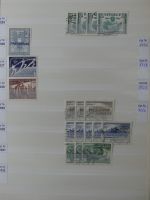 Österreich riesiges Dublettenlager in 6 Einsteckalben #MA392