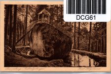 Deutsches Reich 258, 259,268 auf Postkarte Ansichtskarte #DCG61