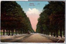 Ak Danzig Große Allee gelaufen 11.3.1930 #DET47