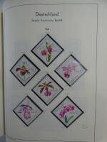 DDR ab Anfängen viel Falz im Leuchtturm Binder #MA451
