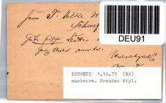 Deutsches Reich P 1 als Ganzsache nachverwendeter Preußen Stempel #DEU91