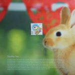 China Airda-Sammlung im Buch #AAA36